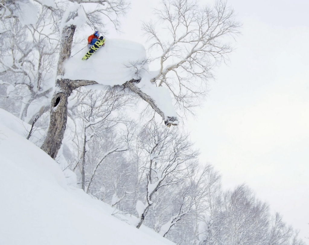 Henrik Windstedt skiing and jumping over tree in Japan, Photographer, filmmaker, Alexander Ryden, skidåking