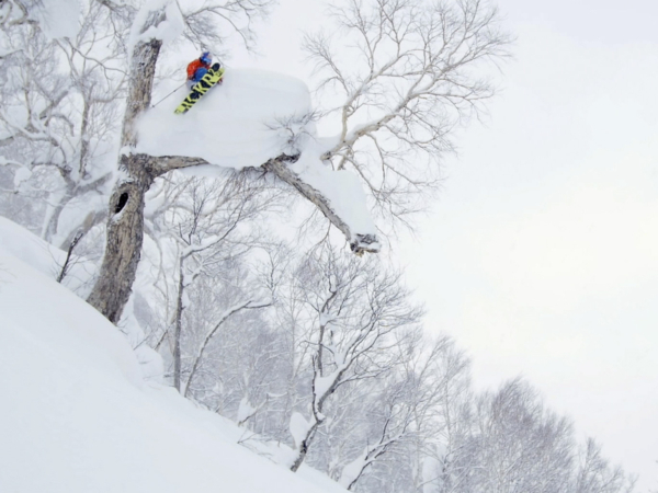 Henrik Windstedt skiing and jumping over tree in Japan, Photographer, filmmaker, Alexander Ryden, skidåking